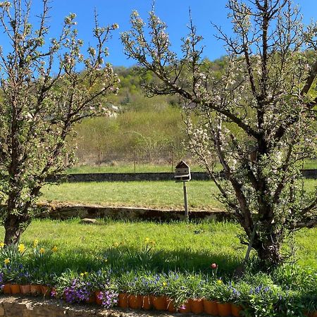Le Nid - Maison Proche De La Foret Frouard Esterno foto